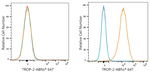TROP2 Antibody in Flow Cytometry (Flow)