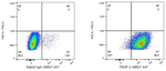 TROP2 Antibody in Flow Cytometry (Flow)