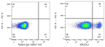 KIR2DL2/KIR2DL3 Antibody in Flow Cytometry (Flow)