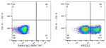 KIR2DL2/KIR2DL3 Antibody in Flow Cytometry (Flow)