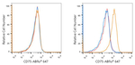 CD75 Antibody in Flow Cytometry (Flow)