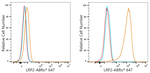LRP2 Antibody in Flow Cytometry (Flow)
