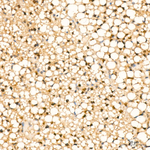 4EBP1 Antibody in Immunohistochemistry (Paraffin) (IHC (P))