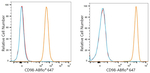 CD98 Antibody in Flow Cytometry (Flow)