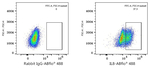 IL-8 Antibody in Flow Cytometry (Flow)