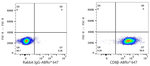 CD8b Antibody in Flow Cytometry (Flow)