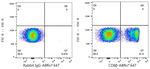 CD8b Antibody in Flow Cytometry (Flow)