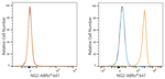 NG2 Antibody in Flow Cytometry (Flow)
