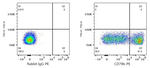 CD79b Antibody in Flow Cytometry (Flow)