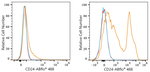 CD24 Recombinant Rabbit Monoclonal Antibody (5E7F5)