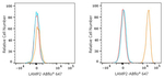 LAMP2 Antibody in Flow Cytometry (Flow)