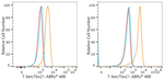 T-bet Antibody in Flow Cytometry (Flow)