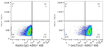 T-bet Antibody in Flow Cytometry (Flow)
