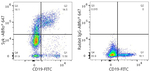 Syk Antibody in Flow Cytometry (Flow)
