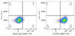 CD300a Antibody in Flow Cytometry (Flow)