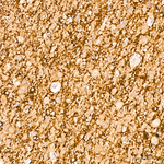 SIRT2 Antibody in Immunohistochemistry (Paraffin) (IHC (P))