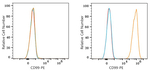 CD99 Antibody in Flow Cytometry (Flow)