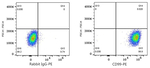 CD99 Antibody in Flow Cytometry (Flow)