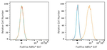 FceR1 alpha Antibody in Flow Cytometry (Flow)