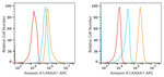 Annexin A1 Antibody in Flow Cytometry (Flow)