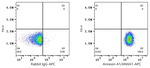 Annexin A1 Antibody in Flow Cytometry (Flow)