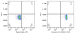 Annexin A1 Antibody in Flow Cytometry (Flow)