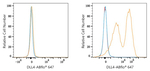 DLL4 Antibody in Flow Cytometry (Flow)