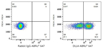 DLL4 Antibody in Flow Cytometry (Flow)