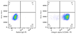 ITGA3 Antibody in Flow Cytometry (Flow)