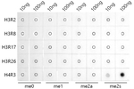 H4R3me2s Antibody in Dot Blot (DB)