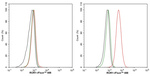 ROR1 Antibody in Flow Cytometry (Flow)