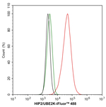 HIP2 Antibody in Flow Cytometry (Flow)