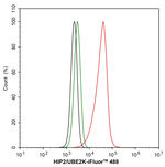 HIP2 Antibody in Flow Cytometry (Flow)