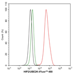 HIP2 Antibody in Flow Cytometry (Flow)