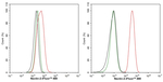 Nectin 2 Antibody in Flow Cytometry (Flow)