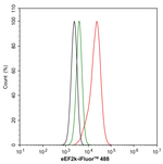 EEF2K Antibody in Flow Cytometry (Flow)