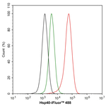 HSP40 Antibody in Flow Cytometry (Flow)