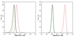 beta-2 Microglobulin Antibody in Flow Cytometry (Flow)