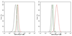 IDO Antibody in Flow Cytometry (Flow)
