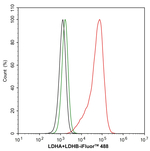 LDHA/LDHB Antibody in Flow Cytometry (Flow)
