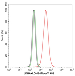 LDHA/LDHB Antibody in Flow Cytometry (Flow)