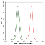 LDHA/LDHB Antibody in Flow Cytometry (Flow)