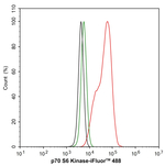 p70 S6 Kinase Antibody in Flow Cytometry (Flow)
