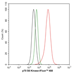 p70 S6 Kinase Antibody in Flow Cytometry (Flow)