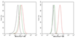 MICA Antibody in Flow Cytometry (Flow)