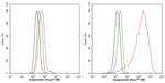 AMOT Antibody in Flow Cytometry (Flow)