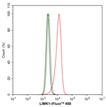 LIMK1 Antibody in Flow Cytometry (Flow)