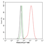 ERp57 Antibody in Flow Cytometry (Flow)