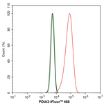 ERp57 Antibody in Flow Cytometry (Flow)