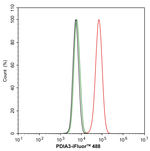 ERp57 Antibody in Flow Cytometry (Flow)